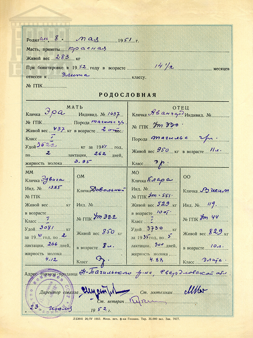 Племенное свидетельство Министерства совхозов СССР от 23 июля 1952 г. (НТГИА. Ф.488. Оп.1. Д.10. Л.123об.)