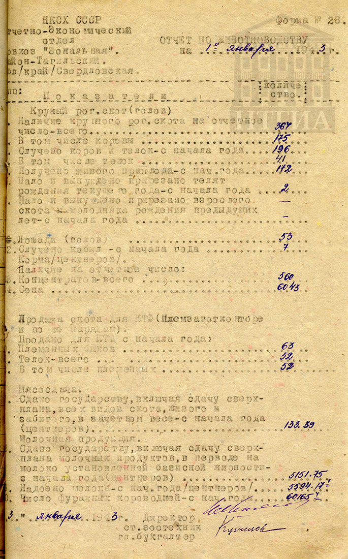 Показатели по животноводству совхоза «Зональная» на 1 января 1943 г. (НТГИА. Ф.488. Оп.1. Д.38. Л.41)